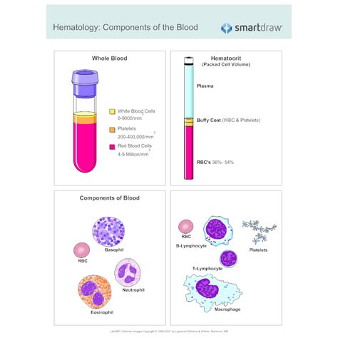 Components Of Blood