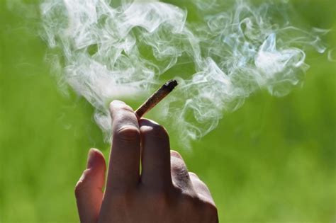 Травы от курения помогающие очистить легкие и бросить курить