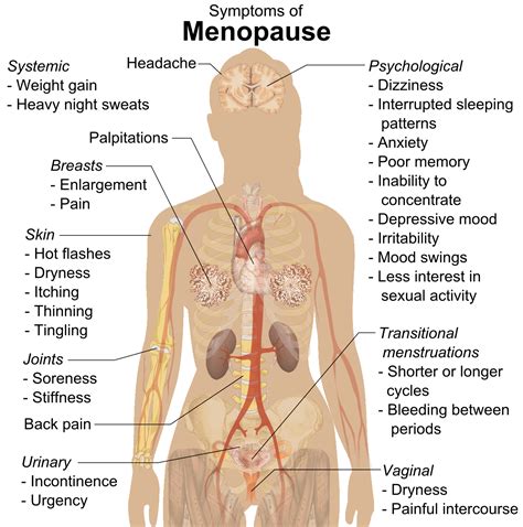 Menopause Almostadoctor
