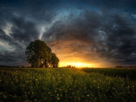 Wallpaper Bulgaria Sofia Valley Fields Trees Clouds Sunset