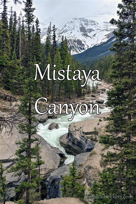 Mistaya Canyon Banff National Park