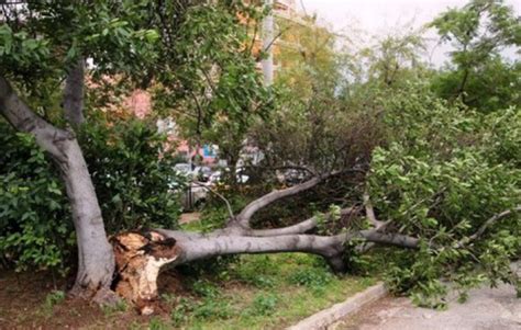 Σήμερα, μεγάλη παρασκευή, η χαρμολύπη τείνει να κυριαρχήσει σε όλη τη δημιουργία. ΤΡΑΓΩΔΙΑ ΣΤΟ ΝΗΣΙ ΕΔΕΣΣΑΣ ΝΕΚΡΟΣ 66ΧΡΟΝΟΣ ΚΑΤΑΠΛΑΚΩΘΗΚΕ ...
