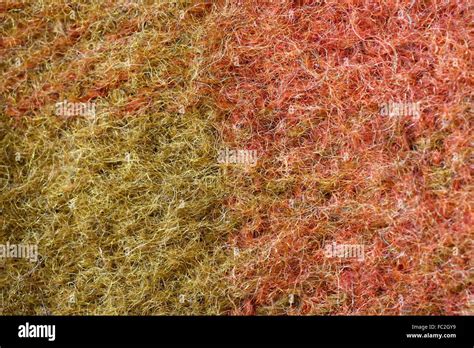 Colourful Wool Fibres Close Up Stock Photo Alamy