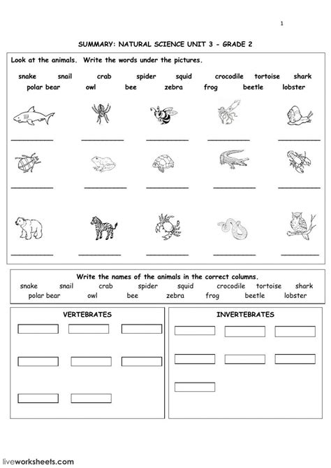 The Animal Kingdom Interactive And Downloadable Worksheet You Can Do