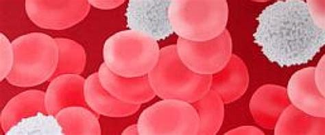 White Blood Cell Count High Other Causes Healthy Living Articles
