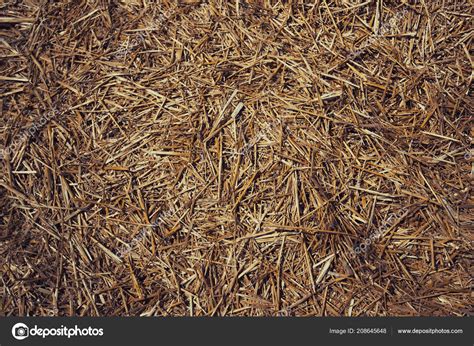 Thatched Background Hay Dry Grass Background Grass Hay Grass Texture