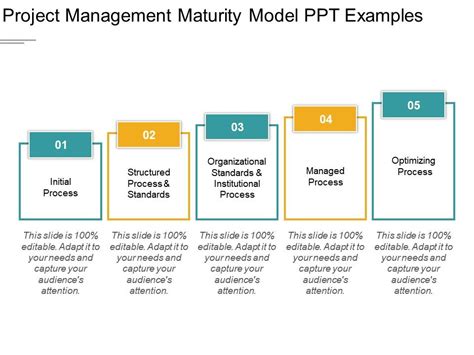 Project Management Maturity Model Ppt Examples Powerpoint