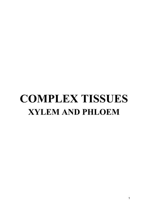 Solution Complex Tissues Xylem And Phloem Studypool
