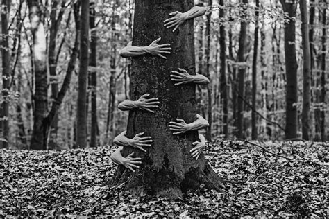 Ronny Engelmann Woods Hands Black And White Environment Photography