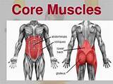 Pictures of Back Core Muscles