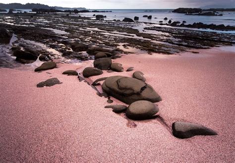 8 Islands That Wear Pink Sand Beaches Islands And Islets