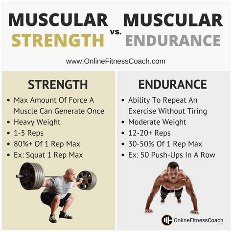 Muscular Strength And Muscular Endurance | Muscular strength, Muscular endurance, Strength and 