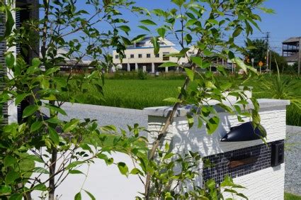 南国風のドラセナと芝生のリゾートガーデン姫路｜姫路市の外構・エクステリア・お庭のことなら、サンガーデンへ。
