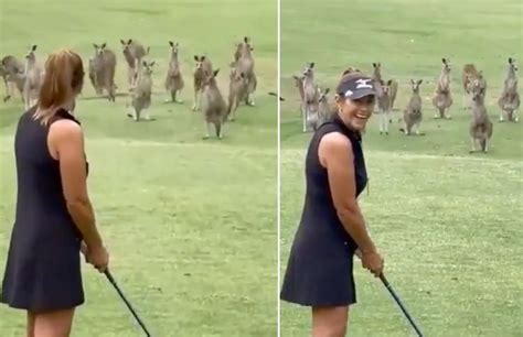 Most Extreme Golf Hazard Ever Wendy Powick Tee Off Interrupted In