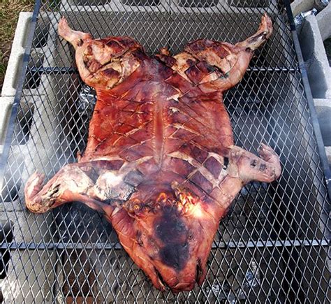 A Beginners Guide To Roasting A Whole Pig Bbq Meat Bbq Grill
