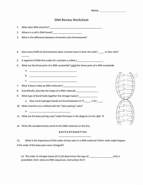 Relevant to dna replication worksheet answer key, choosing to incorporate an answering services into your company is really an operation that typically involves a quality deal of risk and even larger expenses. Chapter 14 the Human Genome Worksheet Answer Key ...
