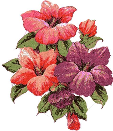 Hibiscus photo stitch free embroidery design - Free embroidery designs ...