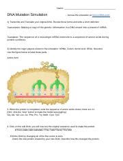 Both forms come in both printable and digital formats. DNA Mutation Simulation Worksheet - Name DNA Mutation ...