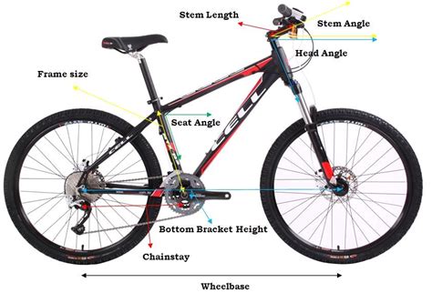 Mountain Bike Sizing Find The Right Bicycle Frame Size