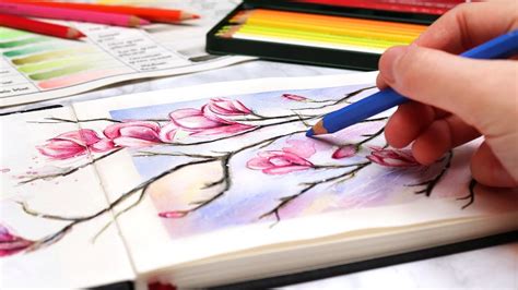 Watercolor Pencil Art Tutorials Videos Elizabeth Cummings