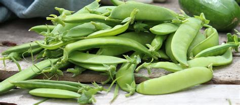 150 Sugar Snap Peas Seeds Highest Quality Cheapest Good Protien