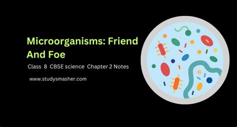 Microorganisms Friend And Foe Class 8 Science Chapter 2 Cbse Notes
