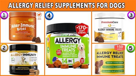 Best Allergy Relief For Dogs Allergy Supplements For Dogs Reviews