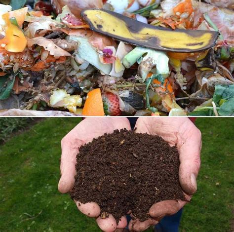 How To Make Compost At Home With Kitchen Garden Waste