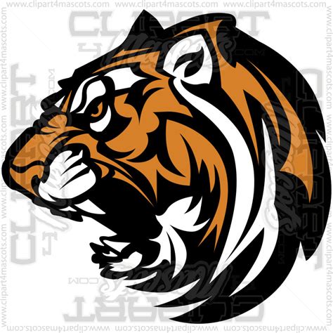 Vector Tiger Graphic Image Vector Or Formats