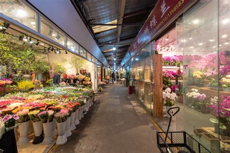 Hongqiao Bird And Flower Market Flower Shops Markets Shanghai