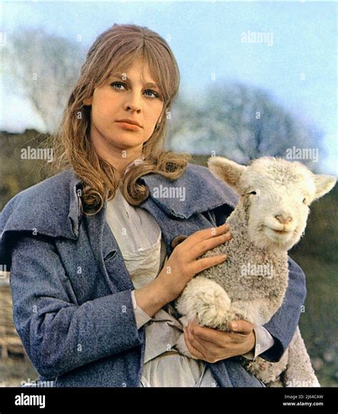 Julie Christie Far From The Madding Crowd 1967 Stock Photo Alamy