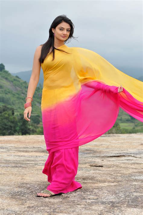 Latest Movie Masala Nikitha Narayan New Hot Saree Photos Nikitha Hot Stills From Its Y Love Story