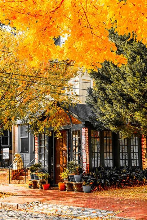 Things to do near me today, beaches with kids, romantic parks, unique places to visit in usa right now, hotels, tourist attractions: 10+ Unexpected Things to do in Norfolk, VA