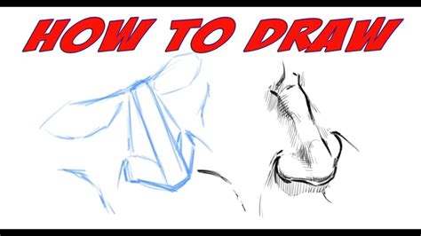 Draw the upper part of the nose with a simple curve and keep the tip pointy. How to Draw a Nose - Tutorial - Narrated - YouTube