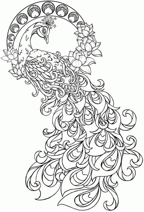 Colour online peacock colouring page using our colouring palette and download your coloured page by clicking save image. Image result for adult coloring pages peacock | Boyama ...