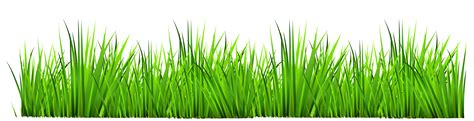 grass-clipart-transparent-grass-clipart-free-clip-art-images.png (3788× png image
