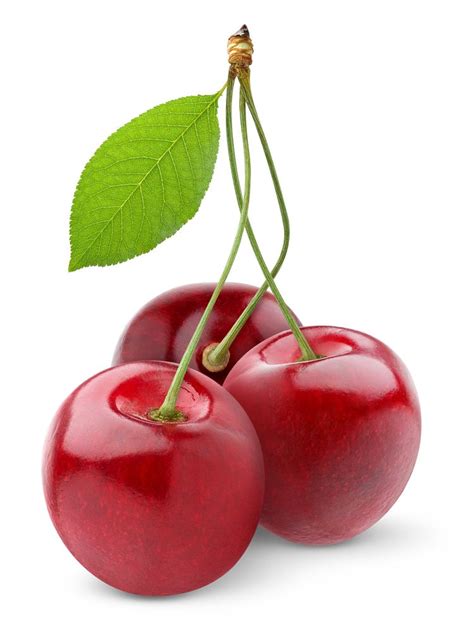 Pin By 정광선 On N Freshly Grown Art Fruit Cherry Fruit Sweet Cherries