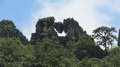 Biosfera El Cielo Tamaulipas Turismo Tamaulipas