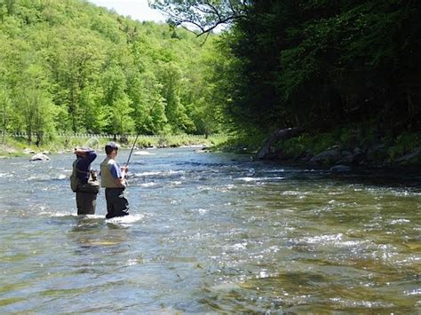 Vermont Fly Fishing Vermont Black River Trophy Trout Fishing