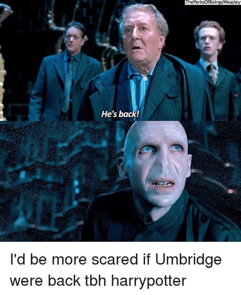 Image in harry potter memes 😂 collection by harry potter⚡. 25+ Best Memes About Umbridge | Umbridge Memes
