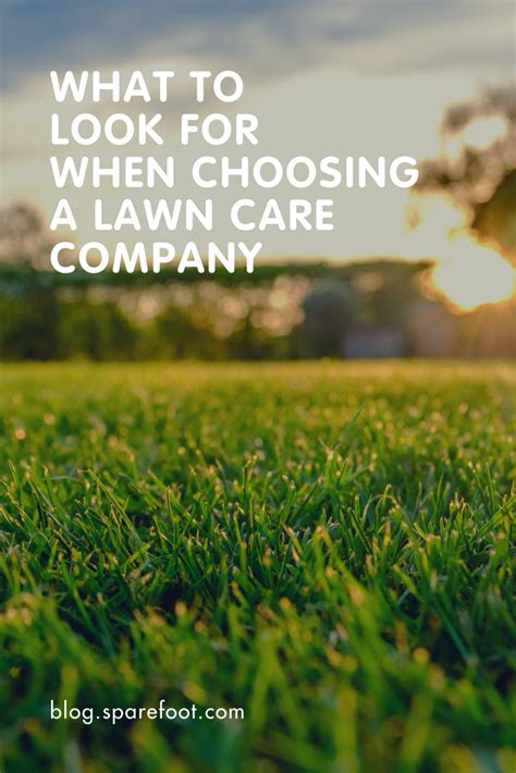 What To Look For When Choosing A Lawn Care Company The Sparefoot Blog