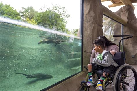 The Fort Wayne Childrens Zoo In Autumn Visit Fort Wayne Insider