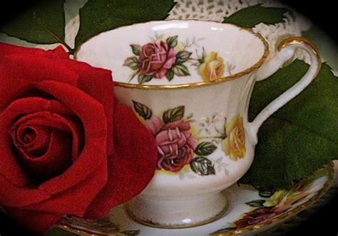 One Red Rose For Tea Party Red Rose Still Life Flowers Tea Party