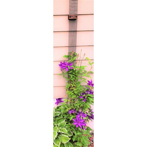 Developed over the last two decades, this technology is beginning to have an impact on the. Scroll Trellis 9 Foot Tall Narrow Plant Support Vinyl ...