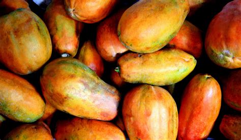 How To Choose A Papaya Thats Not Genetically Modified One Green Planet