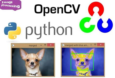 Image Processing Series1 Getting Started With Opencv For Python Or