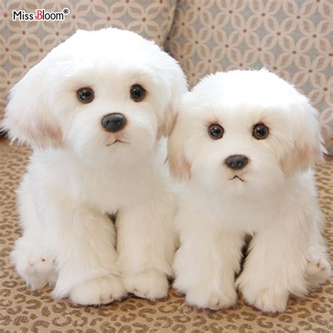 24cm Cute Small White Bichon Frise Stuffed Dog Plush Toy Simulation Pet
