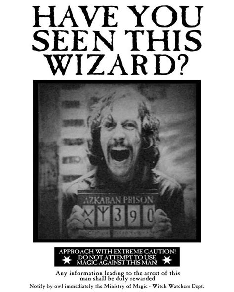Have You Seen This Wizard Sirius Black Harry Potter Trucs Fond