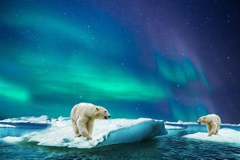 Norwegen lässt in der Arktis nach Öl bohren! | UMWELT JOURNAL