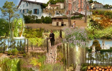 Landes photographie paysage foret de pin. Les collages de Papytane